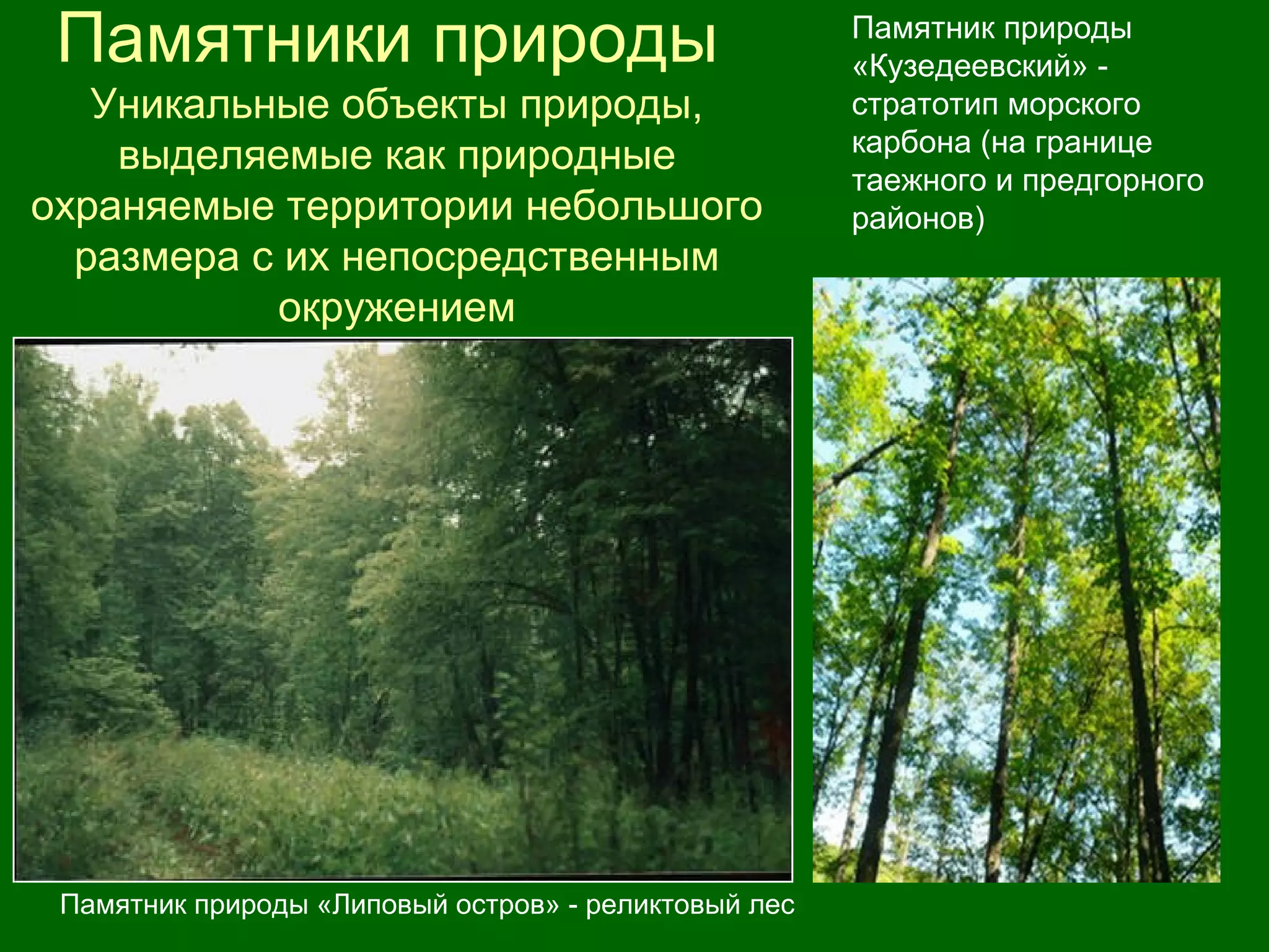 Памятники природы
Уникальные объекты природы,
выделяемые как природные
охраняемые территории небольшого
размера с их непосредственным
окружением
Памятник природы «Липовый остров» - реликтовый лес
Памятник природы
«Кузедеевский» -
стратотип морского
карбона (на границе
таежного и предгорного
районов)
 