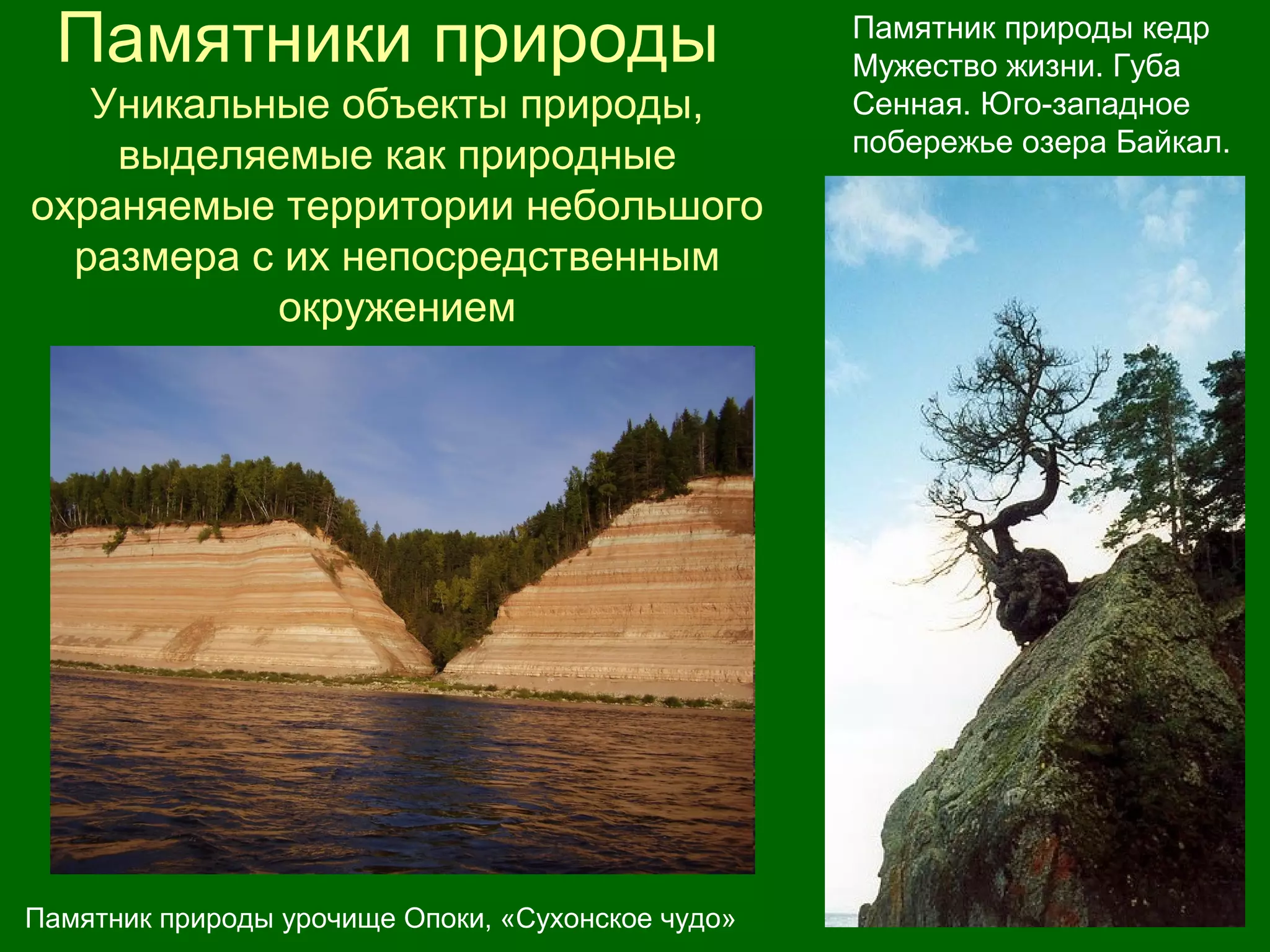 Памятники природы
Уникальные объекты природы,
выделяемые как природные
охраняемые территории небольшого
размера с их непосредственным
окружением
Памятник природы урочище Опоки, «Сухонское чудо»
Памятник природы кедр
Мужество жизни. Губа
Сенная. Юго-западное
побережье озера Байкал.
 