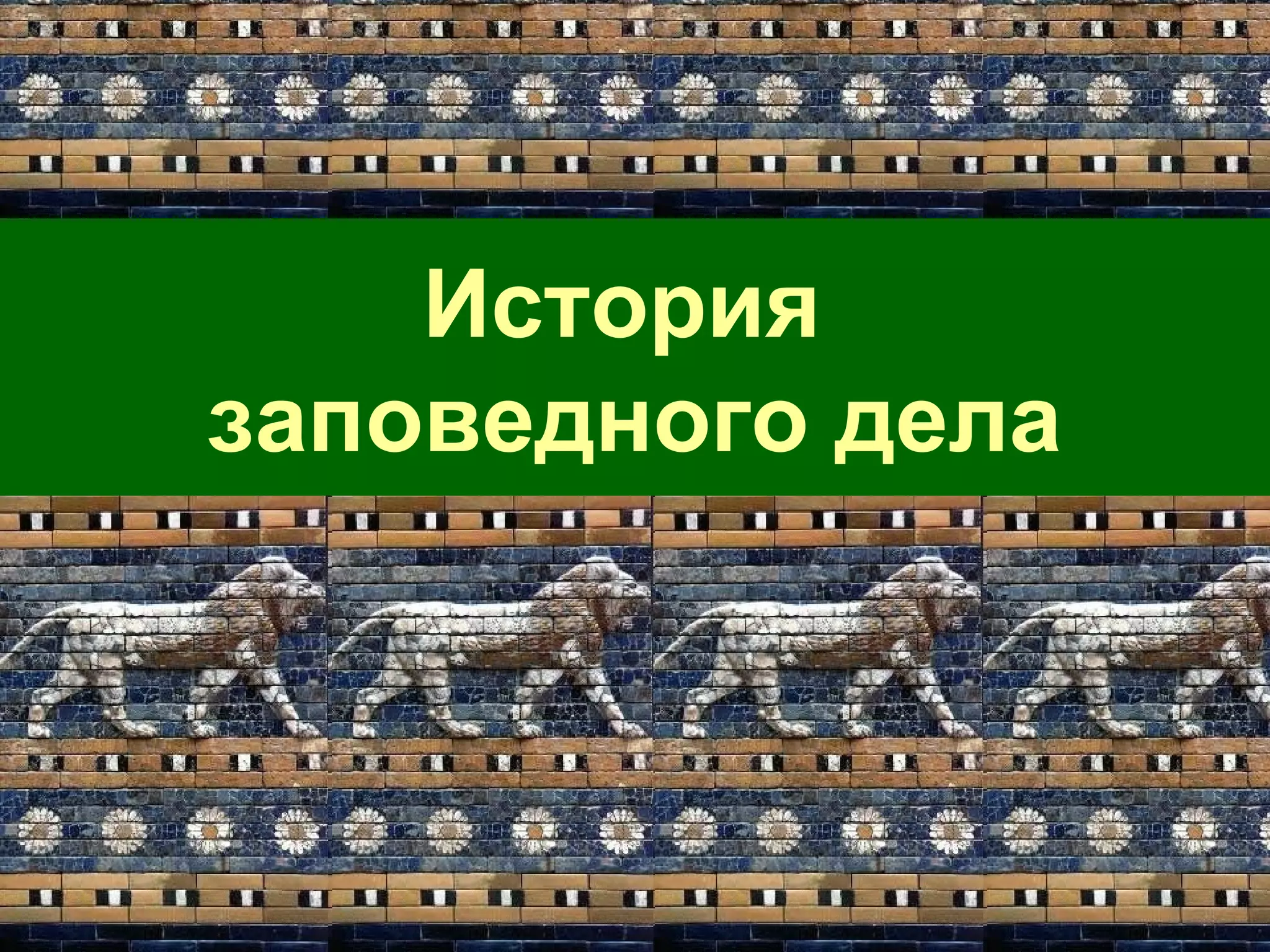 История
заповедного дела
 