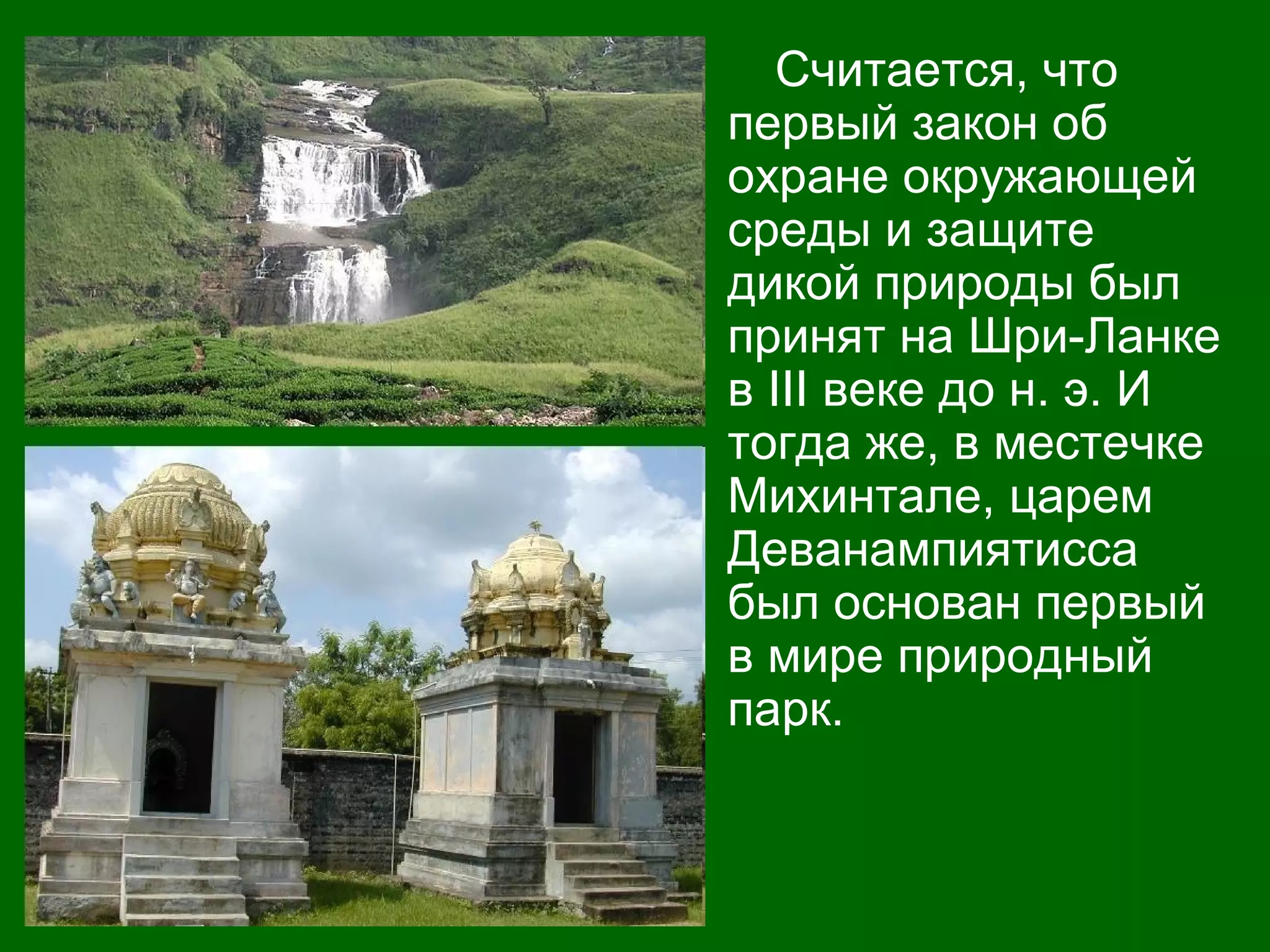 Считается, что
первый закон об
охране окружающей
среды и защите
дикой природы был
принят на Шри-Ланке
в III веке до н. э. И
тогда же, в местечке
Михинтале, царем
Деванампиятисса
был основан первый
в мире природный
парк.
 