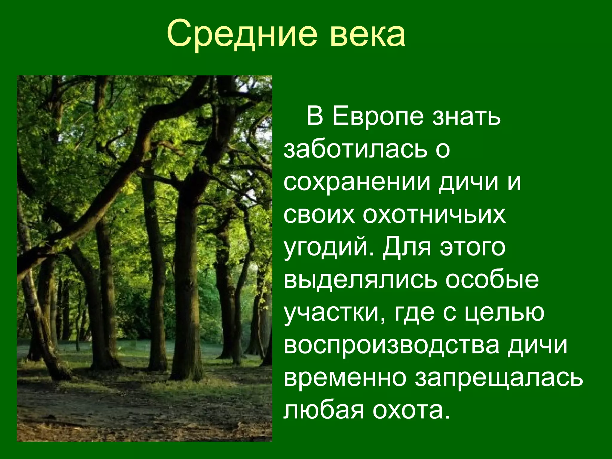 Средние века
В Европе знать
заботилась о
сохранении дичи и
своих охотничьих
угодий. Для этого
выделялись особые
участки, где с целью
воспроизводства дичи
временно запрещалась
любая охота.
 