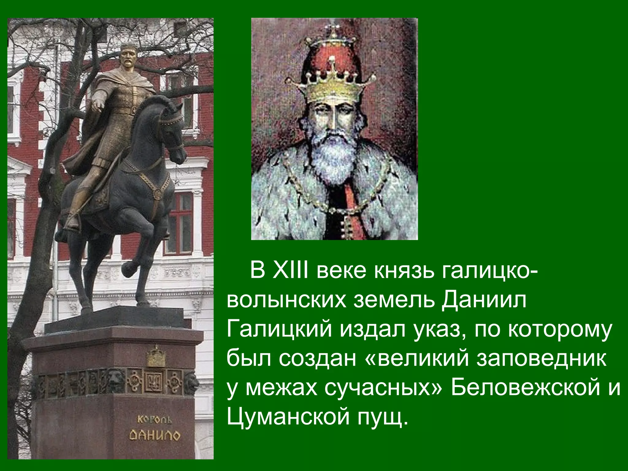 В XIII веке князь галицко-
волынских земель Даниил
Галицкий издал указ, по которому
был создан «великий заповедник
у межах сучасных» Беловежской и
Цуманской пущ.
 