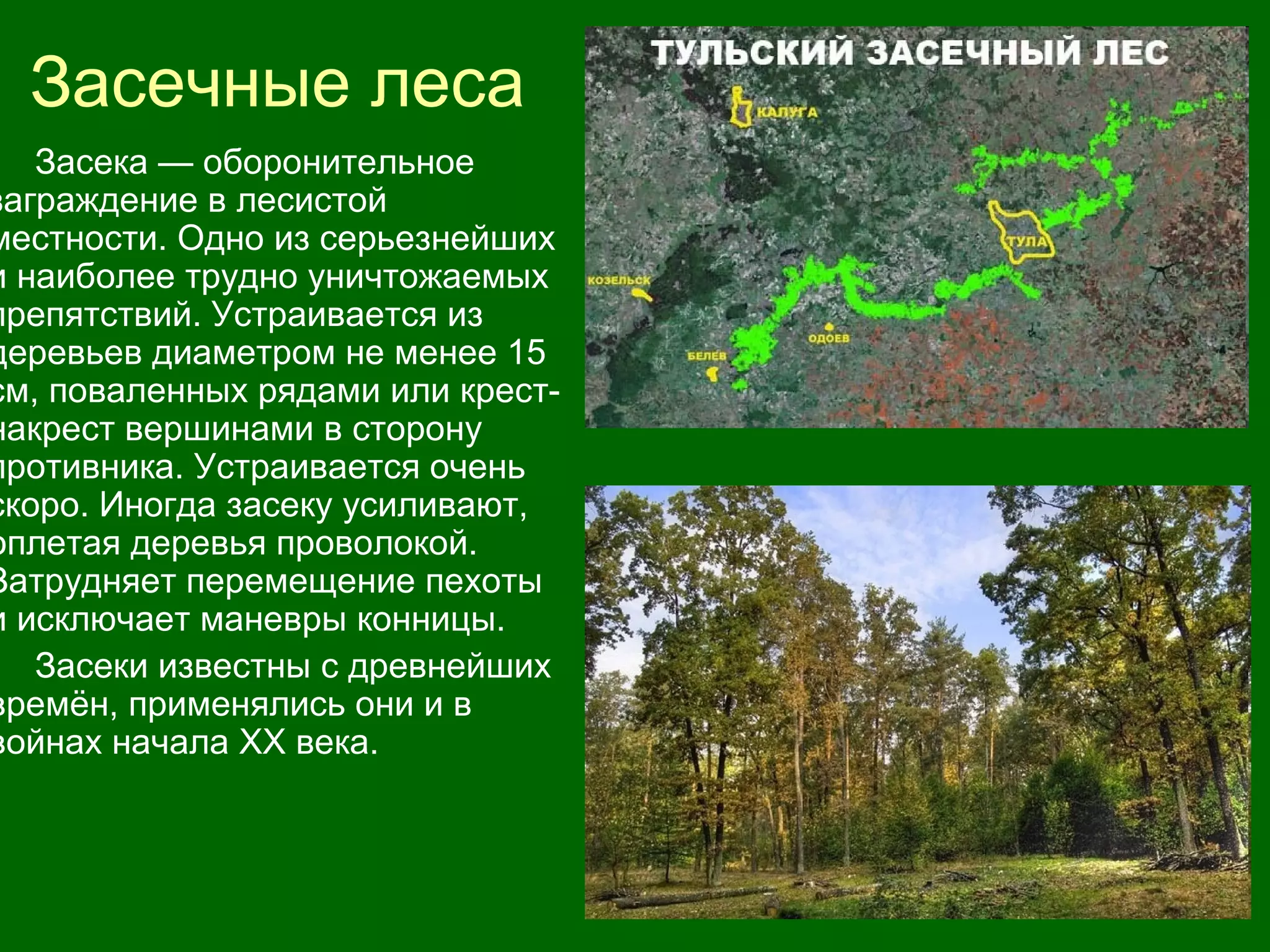 Засечные леса
Засека — оборонительное
заграждение в лесистой
местности. Одно из серьезнейших
и наиболее трудно уничтожаемых
препятствий. Устраивается из
деревьев диаметром не менее 15
см, поваленных рядами или крест-
накрест вершинами в сторону
противника. Устраивается очень
скоро. Иногда засеку усиливают,
оплетая деревья проволокой.
Затрудняет перемещение пехоты
и исключает маневры конницы.
Засеки известны с древнейших
времён, применялись они и в
войнах начала XX века.
 