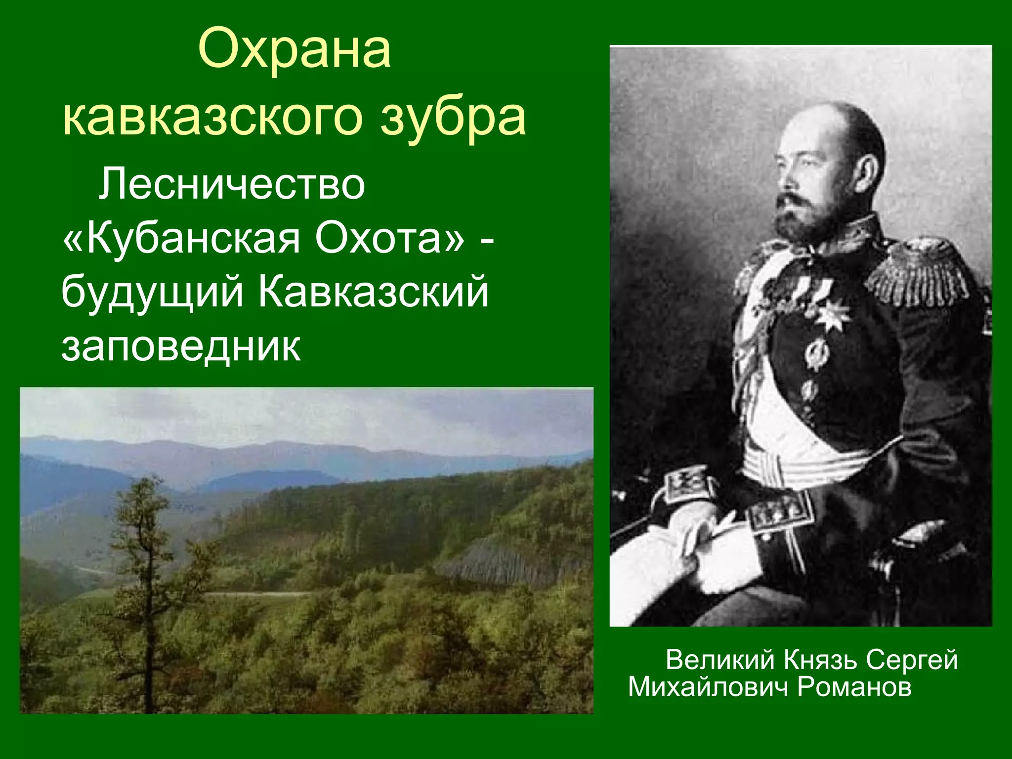 Охрана
кавказского зубра
Лесничество
«Кубанская Охота» -
будущий Кавказский
заповедник
Великий Князь Сергей
Михайлович Романов
 