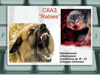 СКАЗ
“Rabies”
Презентацію
підготувала:
студентка гр. Ф – 33
Сніцарук Світлана
 