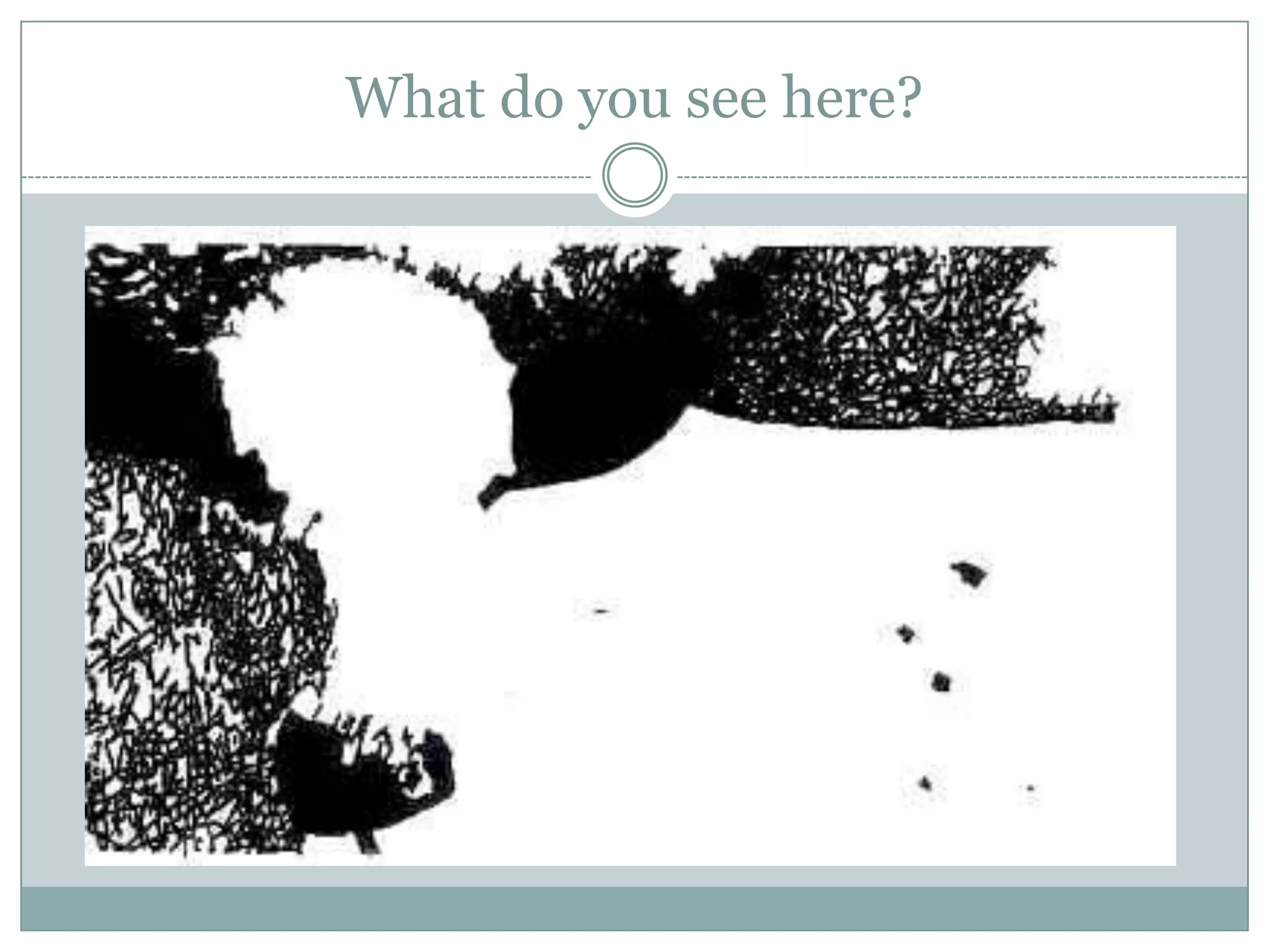 What do you see here?
 