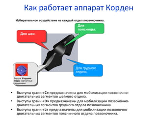 Как	
  работает	
  аппарат	
  Корден	
  
•  Выступы	
  грани	
  «C»	
  предназначены	
  для	
  мобилизации	
  позвоночно-­‐
двигательных	
  сегментов	
  шейного	
  отдела.	
  	
  
•  Выступы	
  грани	
  «D»	
  предназначены	
  для	
  мобилизации	
  позвоночно-­‐
двигательных	
  сегментов	
  грудного	
  отдела	
  позвоночника.	
  
•  Выступы	
  грани	
  «L»	
  предназначены	
  для	
  мобилизации	
  позвоночно-­‐
двигательных	
  сегментов	
  поясничного	
  отдела	
  позвоночника.	
  
Для
поясницы.
Для шеи.
Для грудного
отдела.
Внутри Кордена
magic магнитные
сердечники
Избирательное воздействие на каждый отдел позвоночника.
 