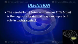 Cerebellum | PPT