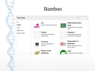 Bamboo
 