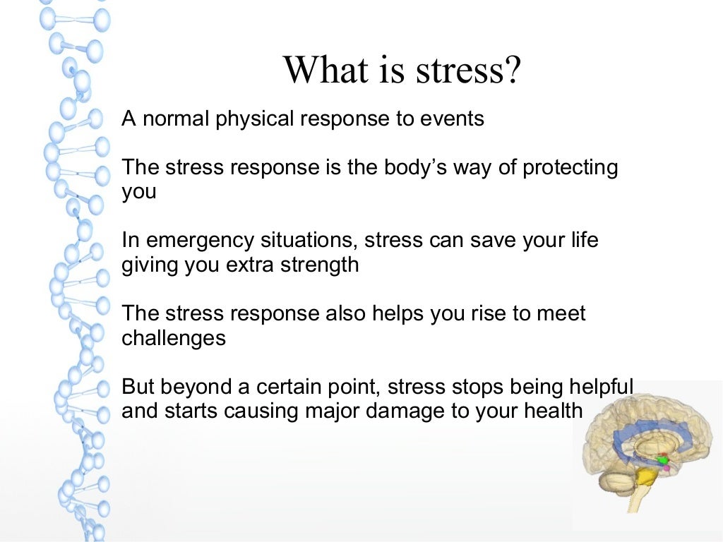 Stressmanagement facts