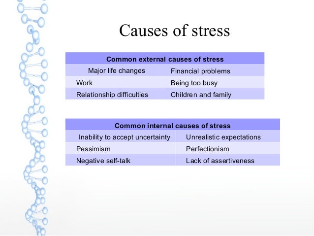 stressors and the causes of stress The experience of stress, however, is related to how you respond to these stressors stress can be your friend or your foe what causes stress. stressors and the causes of stress The experience of stress, however, is related to how you respond to these stressors stress can be your friend or your foe what causes stress.