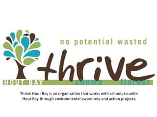 Thrive Hout Bay is an organization that works with schools to unite
Hout Bay through environmental awareness and action projects.

 