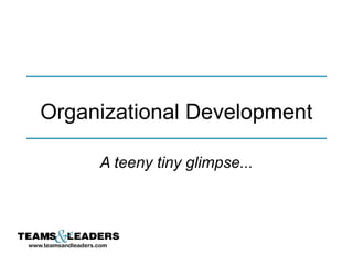 Organizational Development
A teeny tiny glimpse...

www.teamsandleaders.com

 