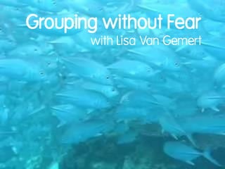 Grouping without Fear
with Lisa Van Gemert

 