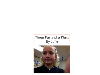 Three Parts of a Plant
By Jolie

 
