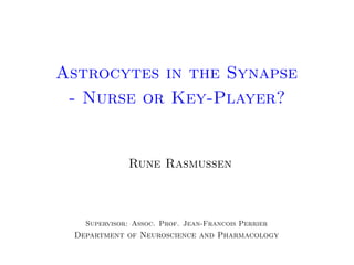 Astrocytes in the Synapse
- Nurse or Key-Player?

Rune Rasmussen

Supervisor: Assoc. Prof. Jean-Francois Perrier

Department of Neuroscience and Pharmacology

 
