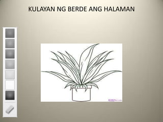 KULAYAN NG BERDE ANG HALAMAN