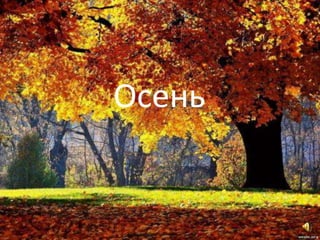Осень

 