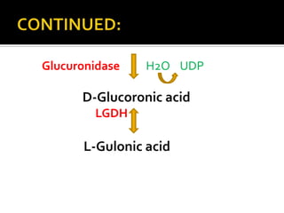 Glucuronidase
H2O UDP
D-Glucoronic acid
LGDH
L-Gulonic acid