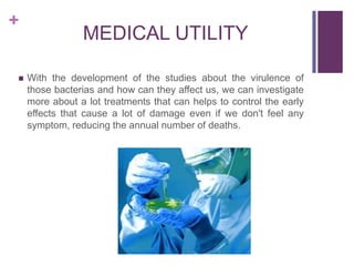 +



MEDICAL UTILITY
With the development of the studies about the virulence of
those bacterias and how can they affect us, we can investigate
more about a lot treatments that can helps to control the early
effects that cause a lot of damage even if we don't feel any
symptom, reducing the annual number of deaths.

 