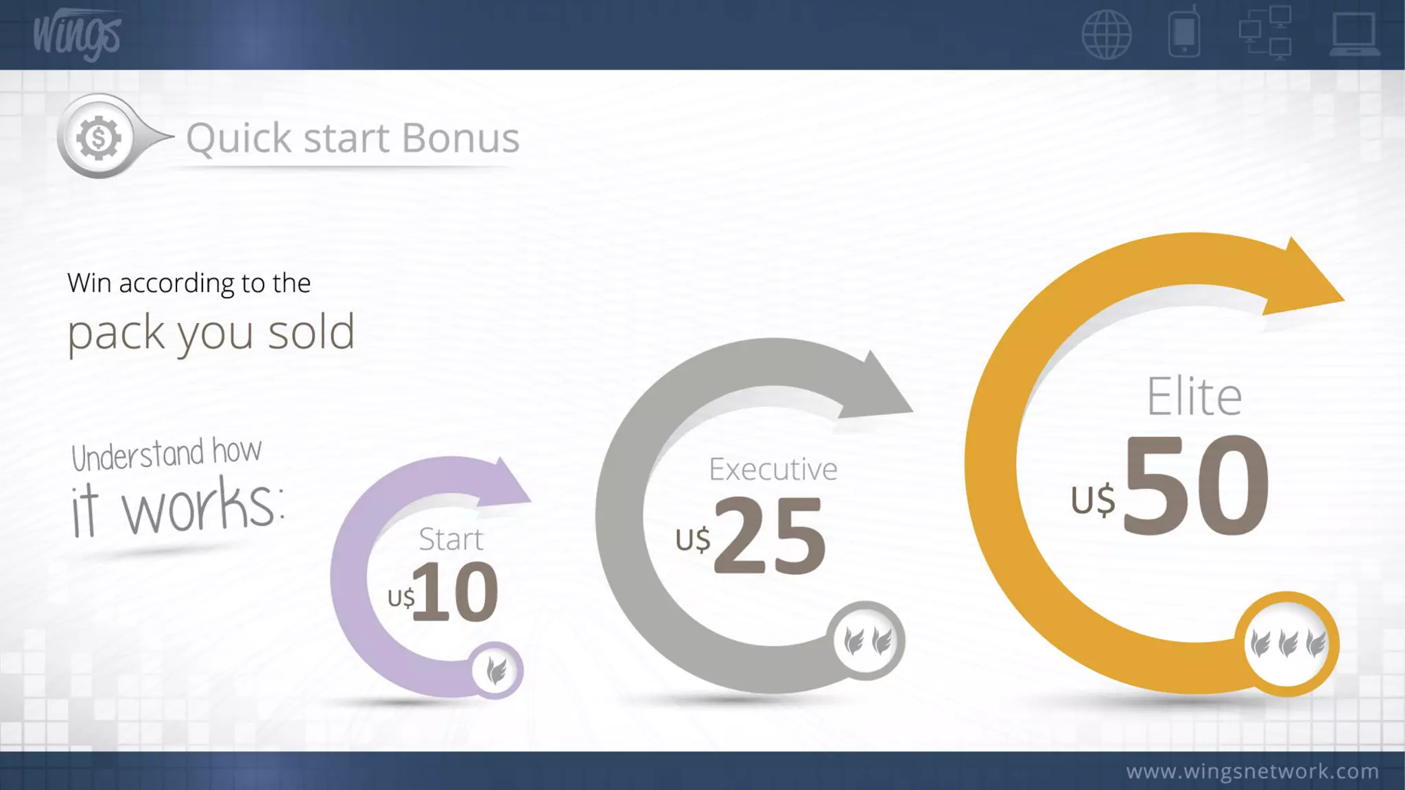 Wings Network Offical Presentation