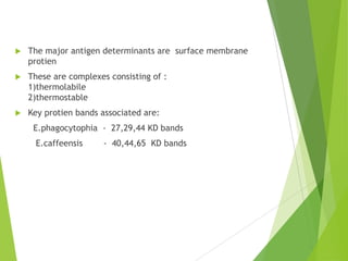 

The major antigen determinants are surface membrane
protien



These are complexes consisting of :
1)thermolabile
2)thermostable



Key protien bands associated are:
E.phagocytophia - 27,29,44 KD bands
E.caffeensis

- 40,44,65 KD bands

 