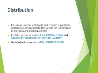 Distribution


Ehrlichiosis occurs worldwide and frequensy parallels
distribution of appropriate tick vector for transmission
of ehrlichia and mammalian host



In USA it occurs in states of CALIFORNIA, TEXAS and
SOUTH EAST NORTHERN REGIONS OF CAENTRY



World wide it occurs in JAPAN, SOUTH EAST ASIA

 