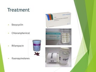 Treatment


Doxycyclin



Chloramphenicol



Rifampacin



fluoroquinolones

 