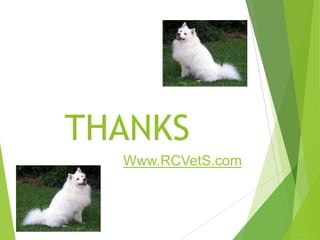 THANKS
Www.RCVetS.com

 