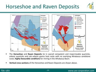 TSX: UEX www.uex-corporation.com
Horseshoe and Raven Deposits
 The Horseshoe and Raven Deposits lie in overall competent and impermeable quartzite,
arkosic quartzite and calc-arkosic gneiss host rocks with no overlying Athabasca sandstone
cover, highly favourable conditions for mining in the Athabasca Basin.
 Vertical cross sections of the Horseshoe and Raven Deposits are shown above.
- 29 -
 