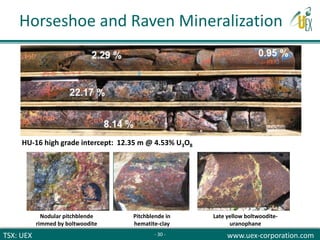 TSX: UEX www.uex-corporation.com
Horseshoe and Raven Mineralization
Nodular pitchblende
rimmed by boltwoodite
Pitchblende in
hematite-clay
Late yellow boltwoodite-
uranophane
HU-16 high grade intercept: 12.35 m @ 4.53% U3O8
- 30 -
 