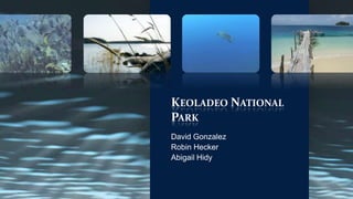 KEOLADEO NATIONAL
PARK
David Gonzalez
Robin Hecker
Abigail Hidy
 