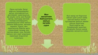 Мал
эмнэлгийн
байгууллага,
малын
эмчийн
үүрэг
Орон нутгийн Засаг
даргын захирамжийн
дагуу хязгаарлалтын
дэглэмийг хэрэгжүүлэх,
аж ахуйн нэгж, мал бүхий
иргэд, малчдад өвчний
талаар анхааруулга,
сэрэмжлүүлэг өгөх ажлыг
зохион байгуулах, өвчний
тархалт, хүрээ, авч
хэрэгжүүлж байгаа арга
хэмжээний талаар хил
залгаа аймаг, сум, багийн
малын эмч нарт мэдэгдэх,
харилцан мэдээлэл
солилцох;
Бүх малд нэг бүрчлэн
эмнэл зүйн үзлэг хийж
өвчтэй малыг ялган
тусгаарлаж малын эмийн
улсын бүртгэлд
бүртгэгдсэн эм,
бэлдмэлийг ашиглан
ийлдсийн болон шинж
тэмдгийн эмчилгээ хийх;
 