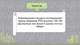 Үүсгэгч нь
Флавивирусийн язгуурын пестивирусийн
төрөлд хамрагдах РНХ агуулсан 120-180
кДа молекул жин бүхий 8 уургаас тогтсон
байдаг
 