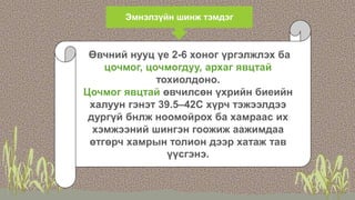 Эмнэлзүйн шинж тэмдэг
Өвчний нууц үе 2-6 хоног үргэлжлэх ба
цочмог, цочмогдуу, архаг явцтай
тохиолдоно.
Цочмог явцтай өвчилсөн үхрийн биеийн
халуун гэнэт 39.5–42С хүрч тэжээлдээ
дургүй бнлж ноомойрох ба хамраас их
хэмжээний шингэн гоожиж аажимдаа
өтгөрч хамрын толион дээр хатаж тав
үүсгэнэ.
 