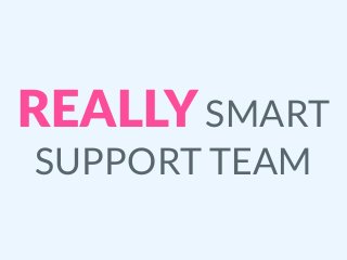 REALLYSMART
SUPPORT TEAM
 
