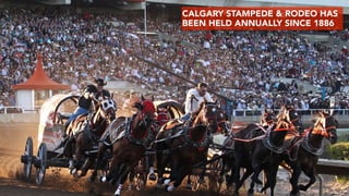 CALGARY STAMPEDE & RODEO HAS  
BEEN HELD ANNUALLY SINCE 1886
 