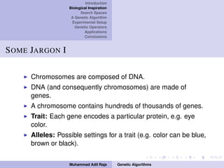 Introduction
Biological Inspiration
Search Spaces
A Genetic Algorithm
Experimental Setup
Genetic Operators
Applications
Conclusions
SOME JARGON I
Chromosomes are composed of DNA.
DNA (and consequently chromosomes) are made of
genes.
A chromosome contains hundreds of thousands of genes.
Trait: Each gene encodes a particular protein, e.g. eye
color.
Alleles: Possible settings for a trait (e.g. color can be blue,
brown or black).
Muhammad Adil Raja Genetic Algorithms
 