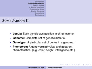 Introduction
Biological Inspiration
Search Spaces
A Genetic Algorithm
Experimental Setup
Genetic Operators
Applications
Conclusions
SOME JARGON II
Locus: Each gene’s own position in chromosome.
Genome: Complete set of genetic material.
Genotype: A particular set of genes in a genome.
Phenotype: A genotype’s physical and apparent
characteristics. (e.g. color, height, intelligence etc.)
Muhammad Adil Raja Genetic Algorithms
 