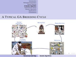 Introduction
Biological Inspiration
Search Spaces
A Genetic Algorithm
Experimental Setup
Genetic Operators
Applications
Conclusions
A TYPICAL GA BREEDING CYCLE
Muhammad Adil Raja Genetic Algorithms
 