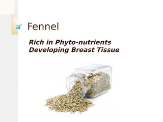 Fennel
Rich in Phyto-nutrients
Developing Breast Tissue
 