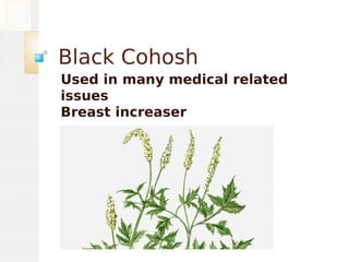 Black Cohosh
Used in many medical related
issues
Breast increaser
 