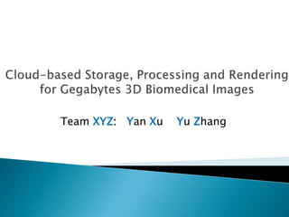 Team XYZ: Yan Xu Yu Zhang 
 