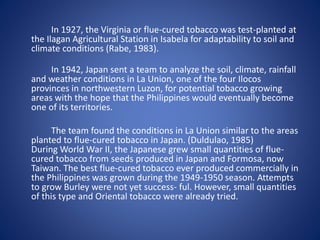 In 1927, the Virginia or flue-cured tobacco was test-planted at 
the Ilagan Agricultural Station in Isabela for adaptability to soil and 
climate conditions (Rabe, 1983). 
In 1942, Japan sent a team to analyze the soil, climate, rainfall 
and weather conditions in La Union, one of the four Ilocos 
provinces in northwestern Luzon, for potential tobacco growing 
areas with the hope that the Philippines would eventually become 
one of its territories. 
The team found the conditions in La Union similar to the areas 
planted to flue-cured tobacco in Japan. (Duldulao, 1985) 
During World War II, the Japanese grew small quantities of flue-cured 
tobacco from seeds produced in Japan and Formosa, now 
Taiwan. The best flue-cured tobacco ever produced commercially in 
the Philippines was grown during the 1949-1950 season. Attempts 
to grow Burley were not yet success- ful. However, small quantities 
of this type and Oriental tobacco were already tried. 
 