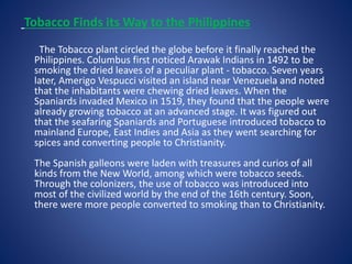Tobacco Finds its Way to the Philippines 
The Tobacco plant circled the globe before it finally reached the 
Philippines. Columbus first noticed Arawak Indians in 1492 to be 
smoking the dried leaves of a peculiar plant - tobacco. Seven years 
later, Amerigo Vespucci visited an island near Venezuela and noted 
that the inhabitants were chewing dried leaves. When the 
Spaniards invaded Mexico in 1519, they found that the people were 
already growing tobacco at an advanced stage. It was figured out 
that the seafaring Spaniards and Portuguese introduced tobacco to 
mainland Europe, East Indies and Asia as they went searching for 
spices and converting people to Christianity. 
The Spanish galleons were laden with treasures and curios of all 
kinds from the New World, among which were tobacco seeds. 
Through the colonizers, the use of tobacco was introduced into 
most of the civilized world by the end of the 16th century. Soon, 
there were more people converted to smoking than to Christianity. 
 
