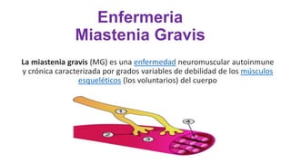 Enfermeria 
Miastenia Gravis 
La miastenia gravis (MG) es una enfermedad neuromuscular autoinmune 
y crónica caracterizada por grados variables de debilidad de los músculos 
esqueléticos (los voluntarios) del cuerpo 
 