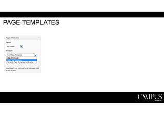 PAGE TEMPLATES 
 