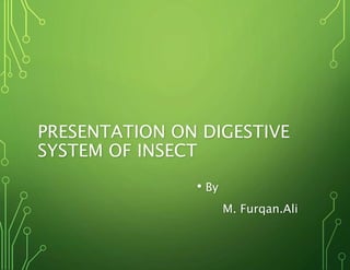 PRESENTATION ON DIGESTIVE 
SYSTEM OF INSECT 
• By 
M. Furqan.Ali 
 