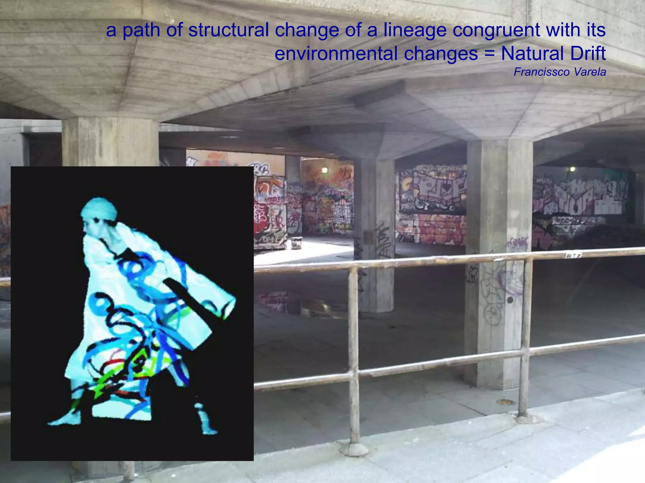 a path of structural change of a lineage congruent with its 
environmental changes = Natural Drift 
Francissco Varela 
 