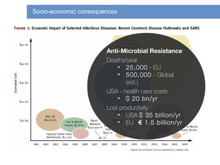 Antimicrobial Resistance (AMR): A global and Multisectoral issue of ...